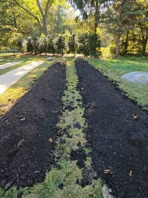 Black mulch landscape beds with clean edges along residential lawn and mature trees