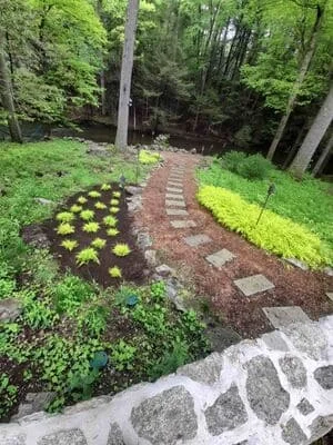 Brick pathway through wooded garden with yellow perennials and boxwood borders