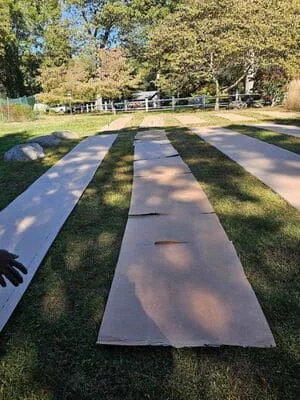 Striped concrete walkway with alternating concrete and grass sections in residential yard