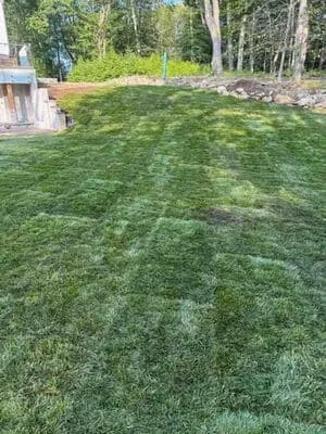Lush green residential lawn with mature trees and natural landscape borders