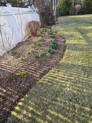 Newly installed landscape bed with mulch and plantings next to treated lawn area