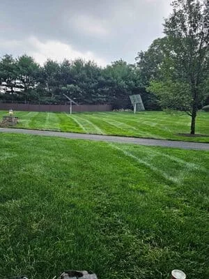 Newly installed sod lawn with mowing stripes, drainage swale, and mature tree border